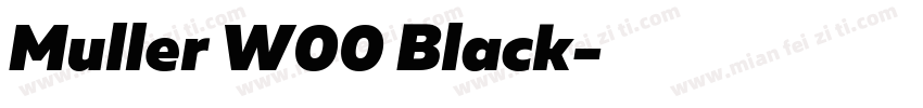 Muller W00 Black字体转换
